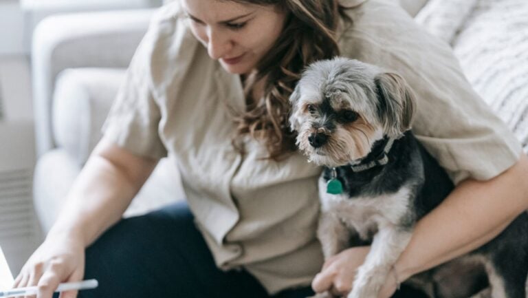 Odie Announces Partnership with Magiq to Build the Foundation for AI-Native Insurance Operations