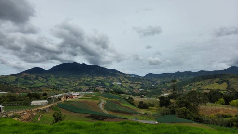 Colombia strengthens climate resilience with parametric insurance for 14,402 smallholder farmers