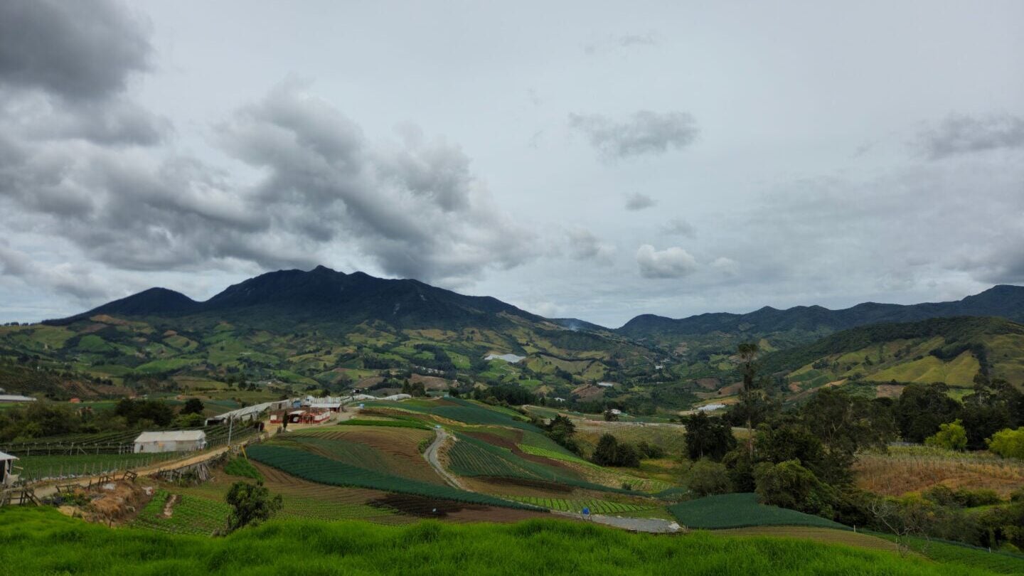 Colombia strengthens climate resilience with parametric insurance for 14,402 smallholder farmers